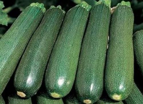 Как убрать горечь из овощного рагу. Как убрать горечь из кабачков при хранении