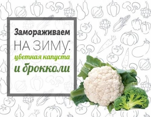 Как сохранить цветную капусту на зиму. Основные правила 01 Как сохранить цветную капусту на зиму. Основные правила 01