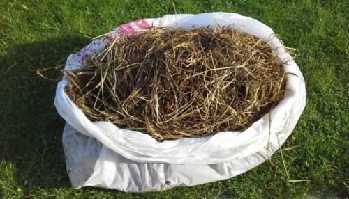 Польза соломы на огороде. Состав и полезные свойства