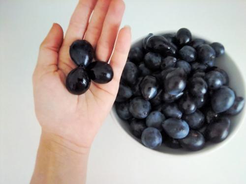 Как сушить яблоки в сушилке супра. Как я сушила сливы в сушилке. Мой отзыв о сушке для фруктов