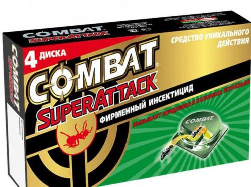 Как найти матку муравьев в квартире. Образ жизни 19