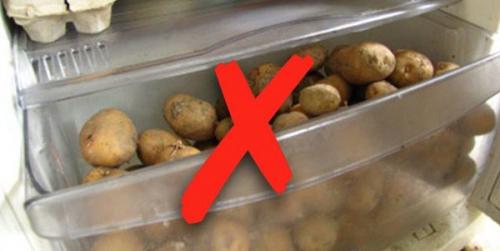 Как хранить картошку в холодильнике. О хранении картофеля в холодильнике и альтернативные варианты