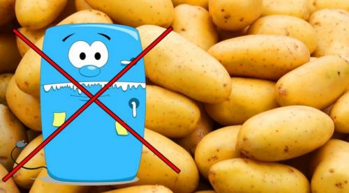 Как хранить картошку в холодильнике. Как хранить картофель в холодильнике?