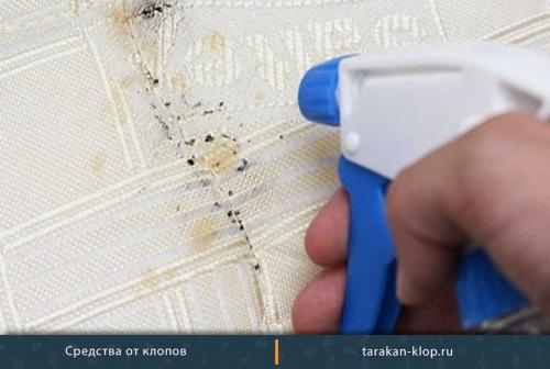 Палач средство от тараканов. Палач от тараканов – купить, отзывы о средстве палач 03