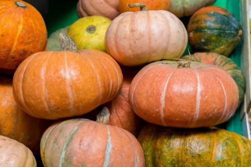 Как хранить тыкву на зиму. Наиболее распространенные ошибки