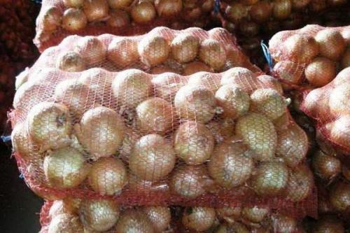 Чем обрабатывают лук для хранения. Условия хранения репчатого лука