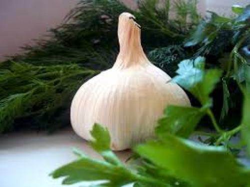 Как засолить зеленые помидоры быстро. Рецепты засолки зеленых помидоров в кастрюле