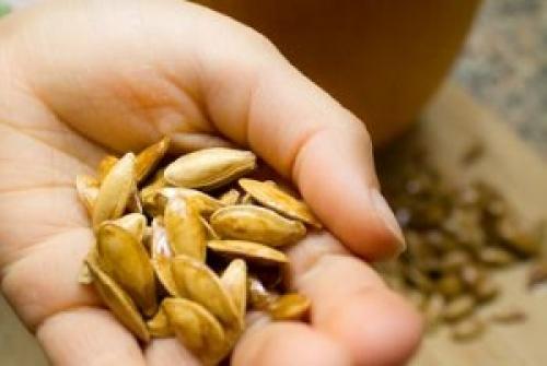 Тыквенные семечки надо мыть. Надо мыть тыквенные семечки