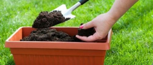 Солома, как удобрение. Солома и удобрение – где связь?