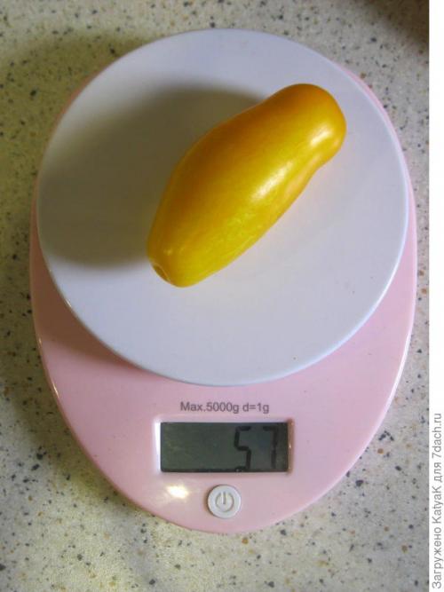 Томат Банановые ноги. Очередной шедевр от Партнера: создан, чтобы удивить вас