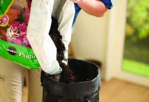 Вертикальная клумба с петунией 04