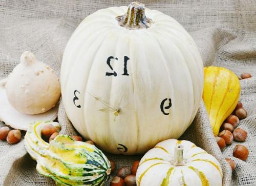 Как высушить тыкву для поделок быстро. Как высушить тыкву для поделки? 11