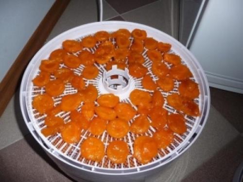 Как правильно сушить яблоки в электросушилке. Инструкция по сушению 02