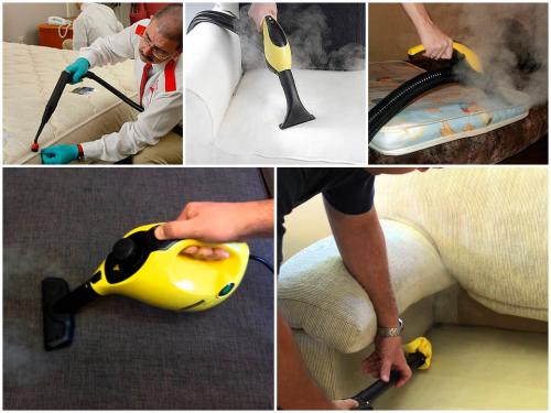 Клопы в квартире, как вывести. Как вывести домашних клопов из квартиры термическим способом