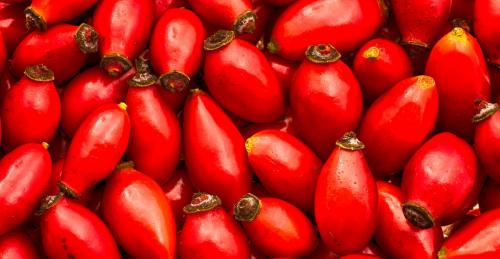 Как хранить отвар шиповника. Учимся заваривать Шиповник правильно!