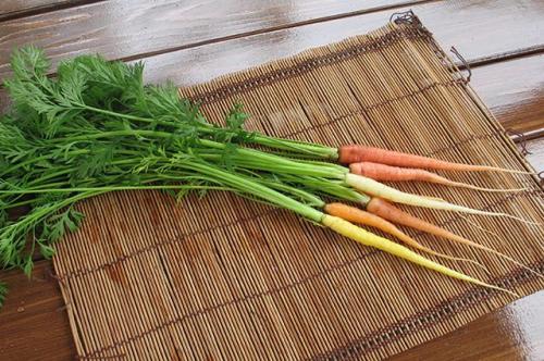 Можно ли мыть морковь перед закладкой на хранение в погреб. Выращивание и хранение