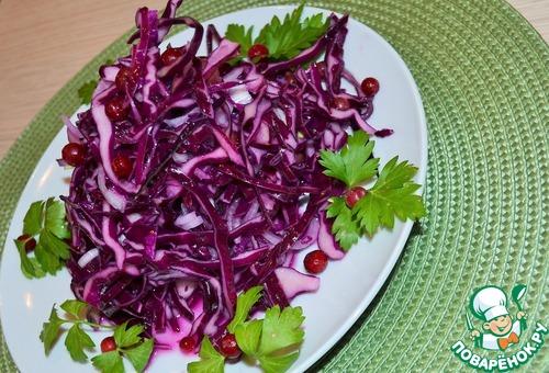 Щи из краснокочанной капусты 17