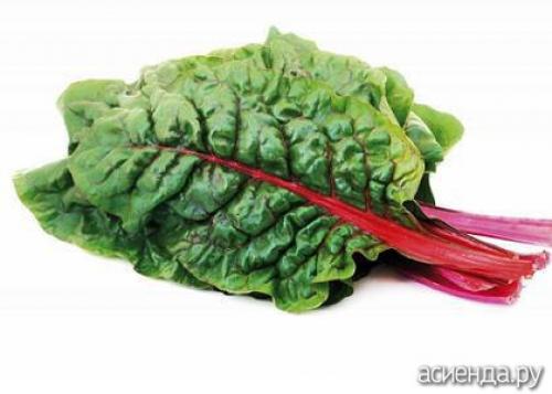 Шпинат аналог. Шпинат и шпинатные растения