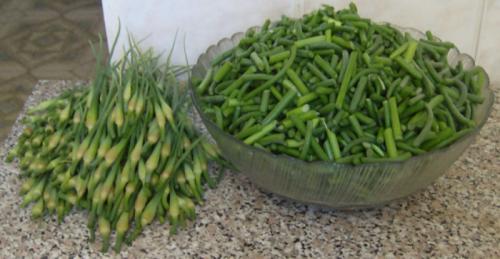 Заморозка стрелок чеснока на зиму. Способы заморозки чеснока и чесночных стрелок в морозилке