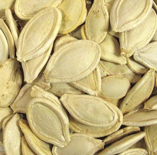 Сколько хранится тыква целая. Условия хранения 08