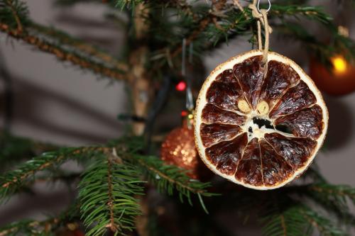 Как сушить яблоки для декора. Как использовать фрукты для декора?