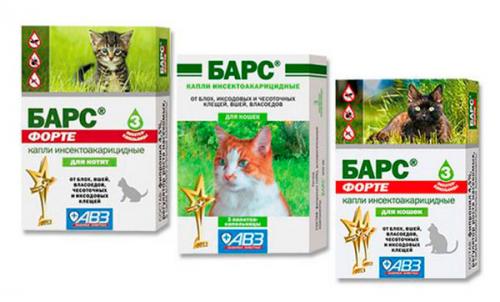 Капли от блох для кошек инструкция по применению. С какого возраста используют капли от блох 13 Капли от блох для кошек инструкция по применению. С какого возраста используют капли от блох 13