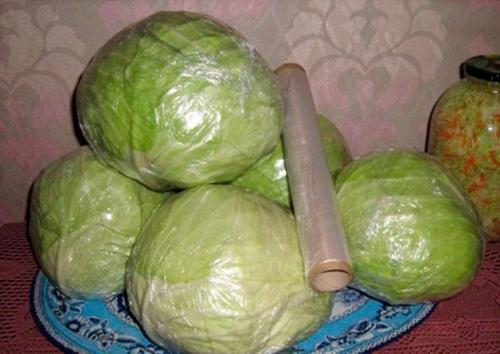 Когда срезать капусту на хранение. Капуста: когда срезать и как хранить зимой