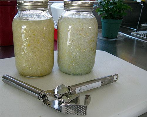 Омолаживающая настойка чеснока. Как приготовить настойку из чеснока для омоложения организма