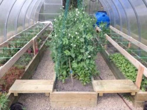 Как сделать грядки в парнике. Как сделать грядки в теплице из поликарбоната 03 Как сделать грядки в парнике. Как сделать грядки в теплице из поликарбоната 03
