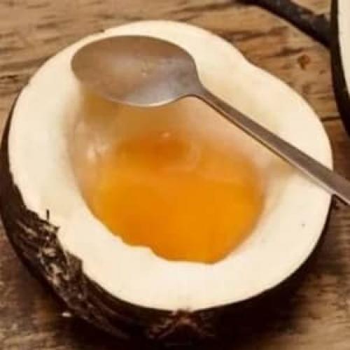 Репа и редька в чем разница. Черная редька и золотистая репа: сажаем прямо сейчас- самое время!