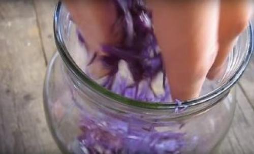 Засолка капусты краснокочанной. Засолка на зиму