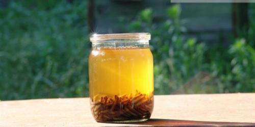 Настойка из восковой моли. В чем польза настойки восковой моли (огневки). 05 Настойка из восковой моли. В чем польза настойки восковой моли (огневки). 05