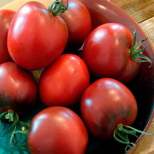 Де Барао помидоры. Лучший сорт для консервации