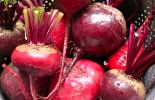 Квашеная морковь польза. Агропортал