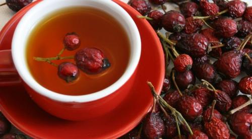 Сколько хранится заваренный Шиповник. Как правильно заварить Шиповник и сохранить витамины?