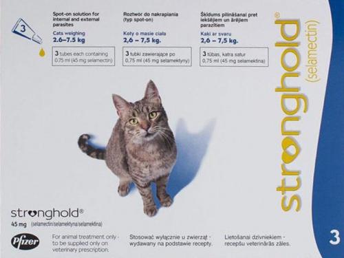 Капли от блох для кошек инструкция по применению. С какого возраста используют капли от блох 08 Капли от блох для кошек инструкция по применению. С какого возраста используют капли от блох 08