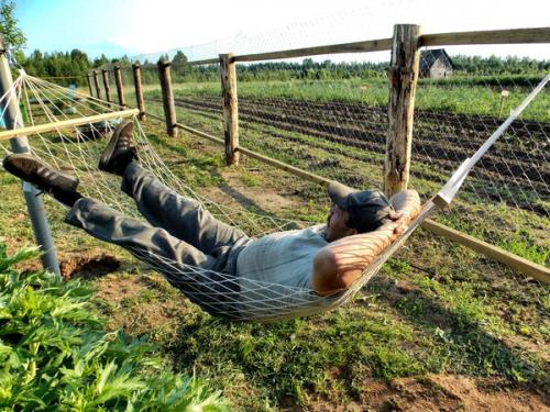 Клопы в квартире признаки. Первые признаки появления клопов в квартире