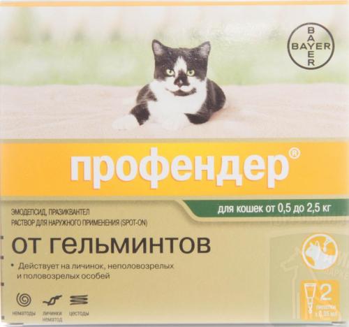 Капли от блох для кошек инструкция по применению. С какого возраста используют капли от блох 10 Капли от блох для кошек инструкция по применению. С какого возраста используют капли от блох 10