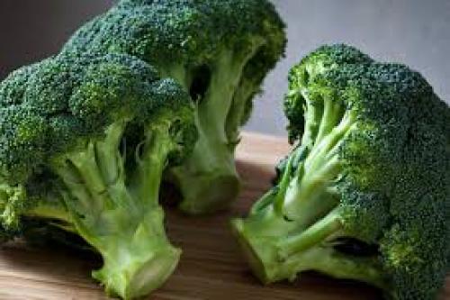 Боится ли брокколи заморозков. Выращивание капусты брокколи в закладки 17