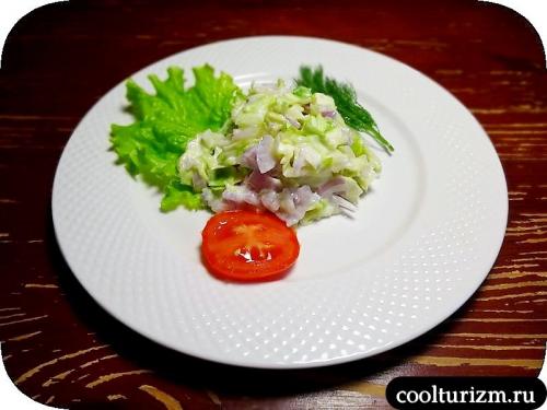 Салат из красной капусты и красного лука. Салат из молодой капусты и красного лука