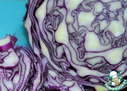 Щи из краснокочанной капусты 18
