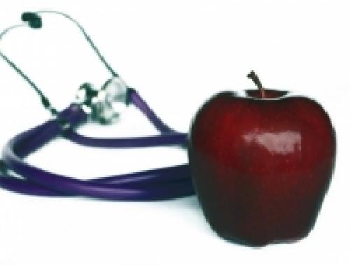 Как правильно сушить яблоки в электросушилке. Инструкция по сушению 05