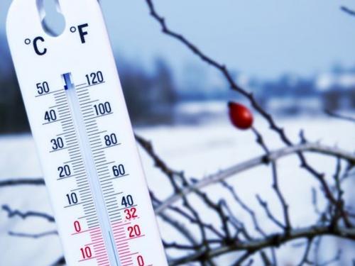 Какие заморозки переносит капуста. Капуста и заморозки