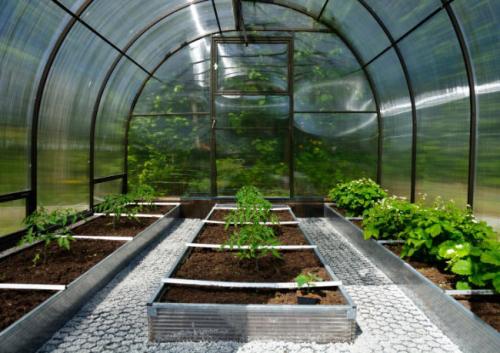 Как сделать грядки в парнике. Как сделать грядки в теплице из поликарбоната