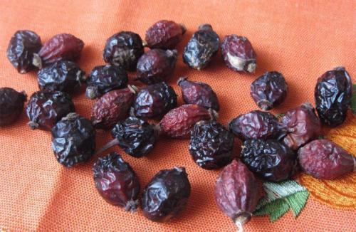 Как подсушить шиповник в микроволновке. Как высушить шиповник на зиму в микроволновке или в духовке