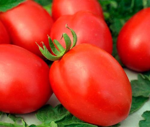 Де Барао помидоры. Лучший сорт для консервации