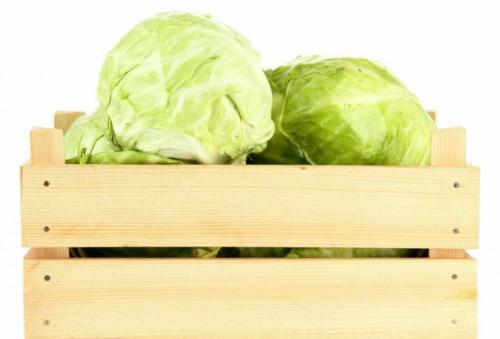 Как хранить летнюю капусту. Как сохранить капусту на зиму в квартире