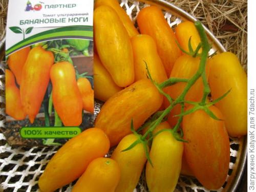 Томат Банановые ноги. Очередной шедевр от Партнера: создан, чтобы удивить вас
