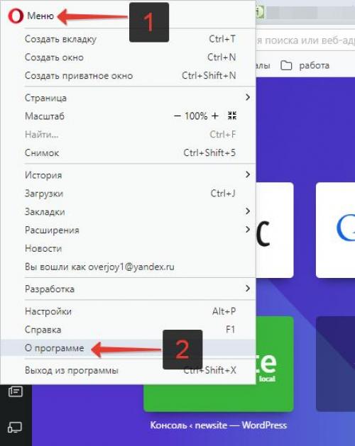 Опера обновить. Инструкция: обновление Opera до последней версии