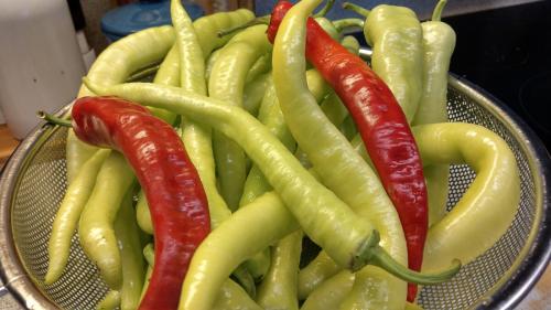 Перец цицак по грузински. Зима близко. Вкуснющий маринованный горький перец по-грузински. Без стерилизации